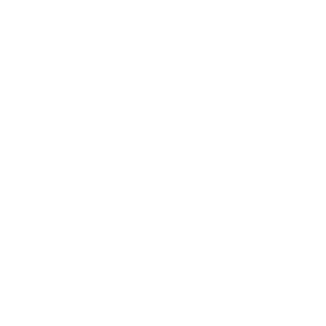 Stethoscope icon.